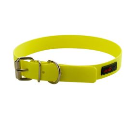 Collar - Play Regular Buckle, 1" Wide - Fits neck 18" to 22" (Color: Yellow)