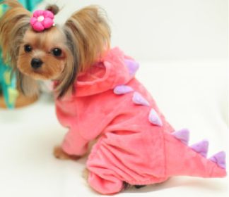 Halloween Dog Clothes Stretch Dinosaur Transformation Costume (Option: Pink-XS)